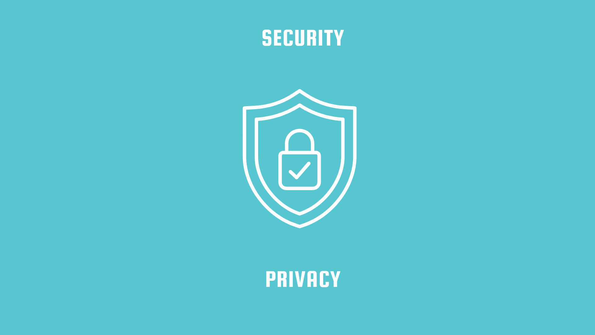 Security vs. privacy company
